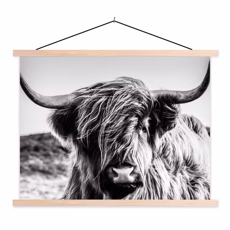 Schotse hooglander - Close up - Horens - Vacht - Zwart Wit textielposter latten blank klein -3d