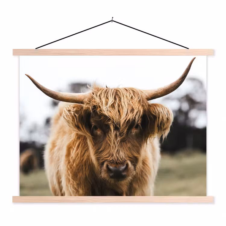 Schotse Hooglander -  Koe - Gras - Dieren - Natuur textielposter latten blank klein -3d