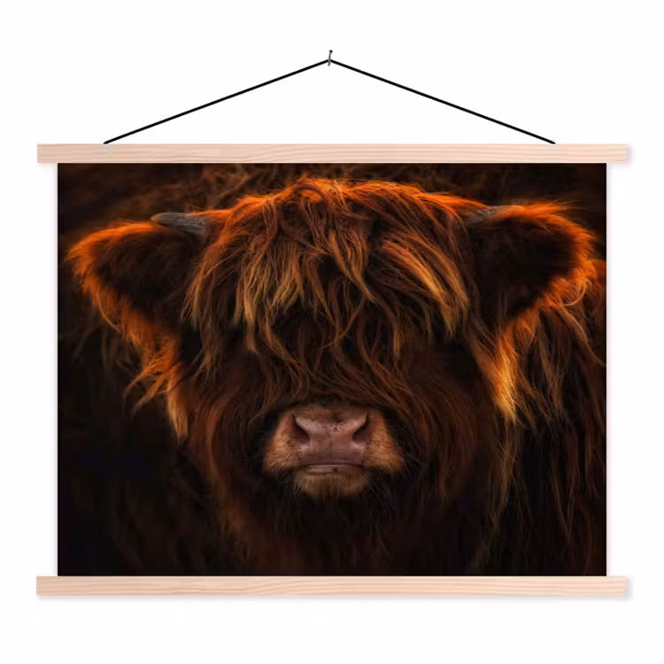 Schotse Hooglander - Koe - Portret - Dieren textielposter latten blank klein -3d