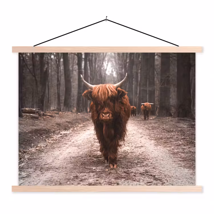 Schotse hooglander - Bos - Koe - Dieren - Natuur textielposter latten blank klein -3d