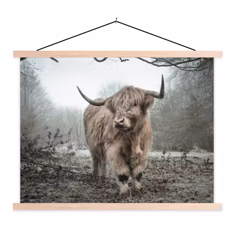 Schotse Hooglander - Bos - Mist - Koe - Dieren - Natuur textielposter latten blank klein -3d