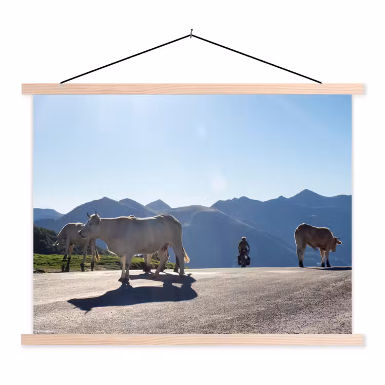 Schotse hooglander - Licht - Berg - Natuur textielposter latten blank klein -3d