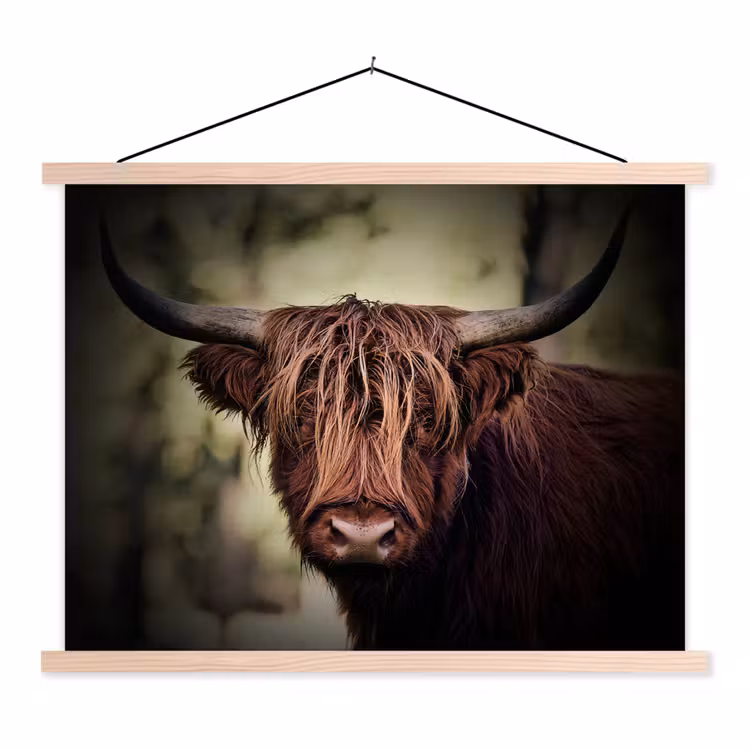 Schotse hooglander - Licht - Portret - Natuur textielposter latten blank klein -3d