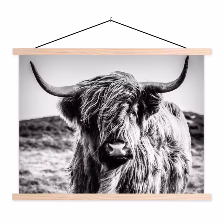 Schotse hooglander - Natuur - Koe - Zwart - Wit textielposter latten blank klein -3d