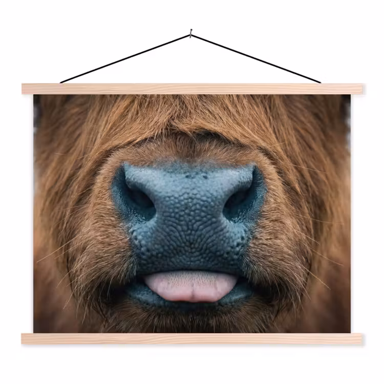 Schotse hooglander - Neus - Bruin textielposter latten blank klein -3d