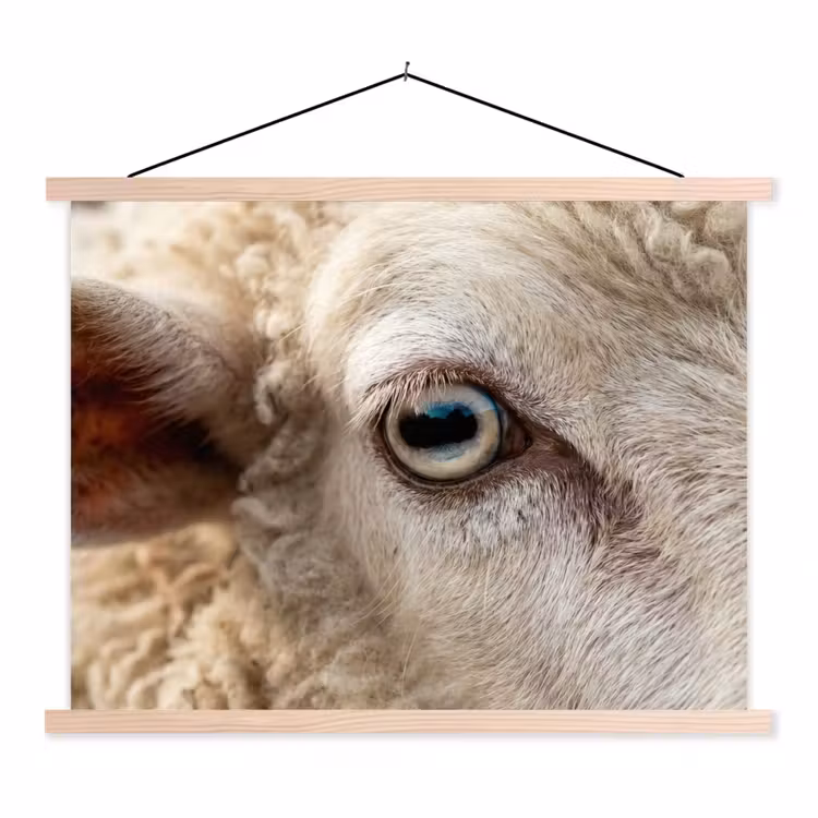 Schaap - Oog - Wit textielposter latten blank klein -3d