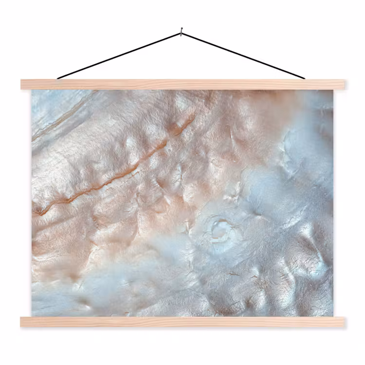 Binnenkant van een schelp uit de natuur bedekt met parelmoer textielposter latten blank klein -3d