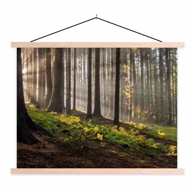 Zonlicht - Takken - Boom - Bos textielposter latten blank klein -3d