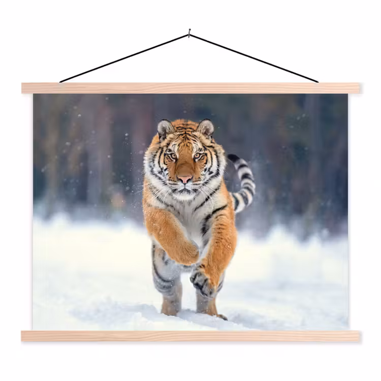 Tijger - Landschap - Sneeuw - Winter - Dieren textielposter latten blank klein -3d