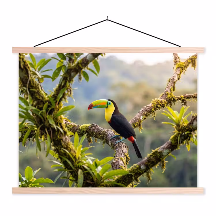 Toekan - Jungle - Natuur - Kleurrijk textielposter latten blank klein -3d