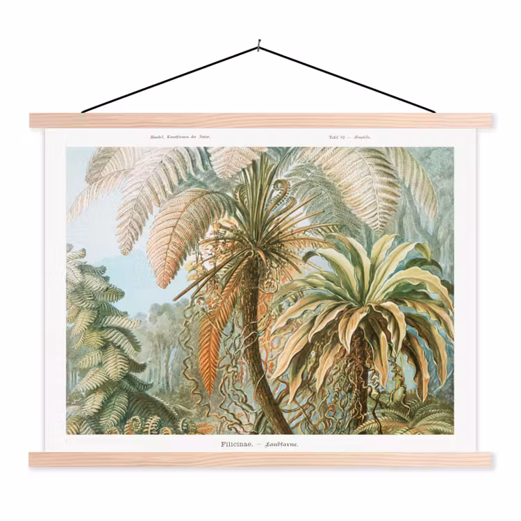 Filicinae - Tuindecoratie - Tuinposter - Vintage - Oude meesters textielposter latten blank klein -3d