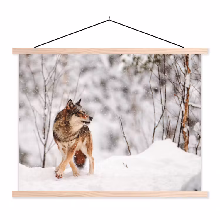 Wolf - Winter - Sneeuw - Natuur - Dieren textielposter latten blank klein -3d