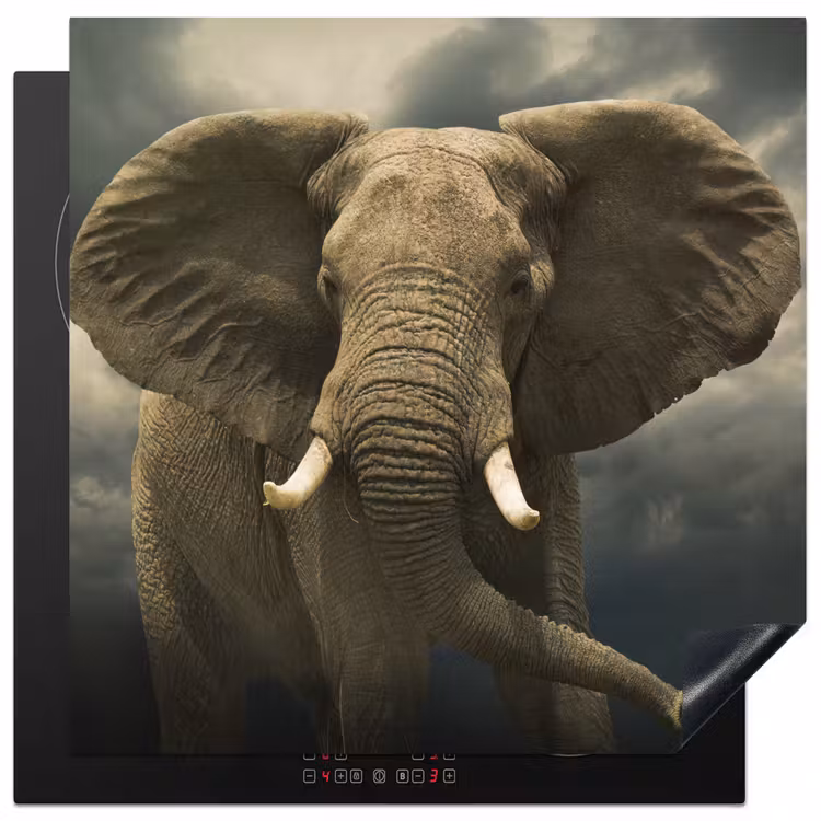 Afrikaanse olifant tegen de donkere wolken Inductie beschermer vinyl 3mm middel -3d