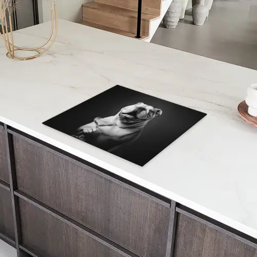 Buldog - Hond - Glas Inductie beschermer vinyl 3mm middel -sfeer8