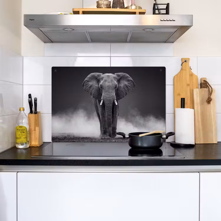 Olifant - Zwart - Wit - Rook Inductie beschemer met haakjes klein -sfeer2
