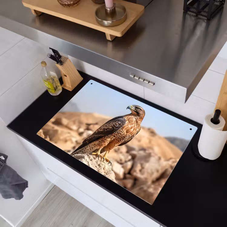 Valk - Vogel - Rots - Macht Inductie beschemer met haakjes klein -sfeer1