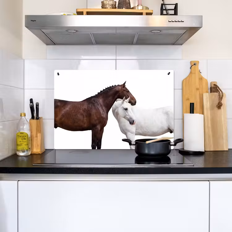 Paard - Modern - Balans Inductie beschemer met haakjes klein -sfeer2