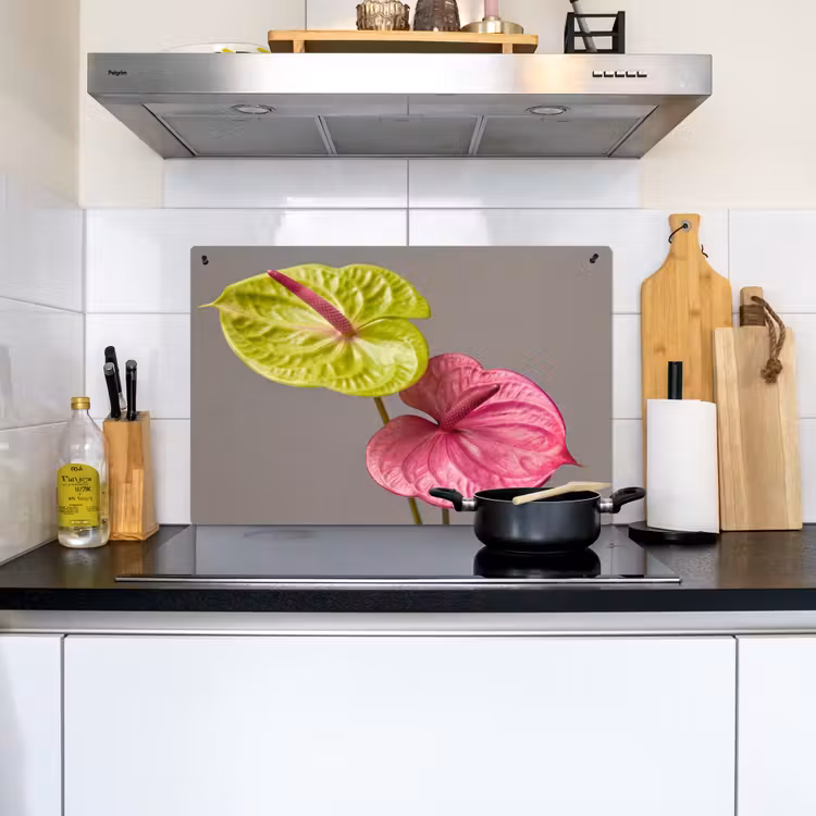 Planten - Anthurium - Groen - Roze Inductie beschemer met haakjes klein -sfeer2