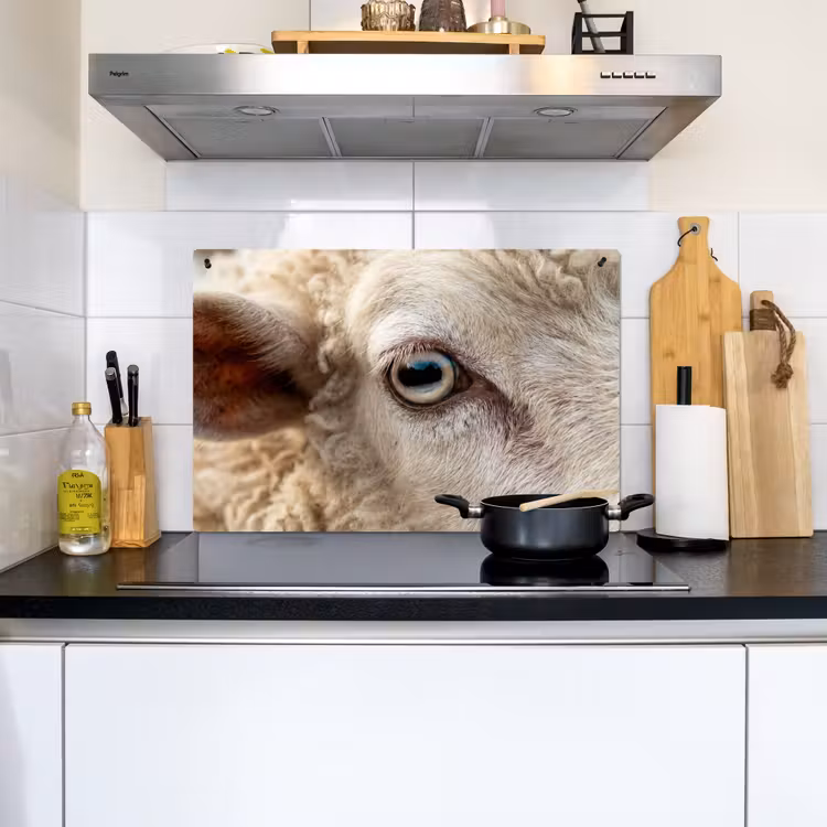 Schaap - Oog - Wit Inductie beschemer met haakjes klein -sfeer2