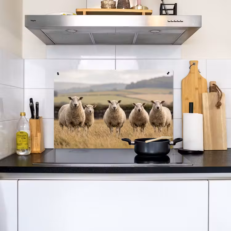 Schapen - Weidenlandschap - Heuvels Inductie beschemer met haakjes klein -sfeer2