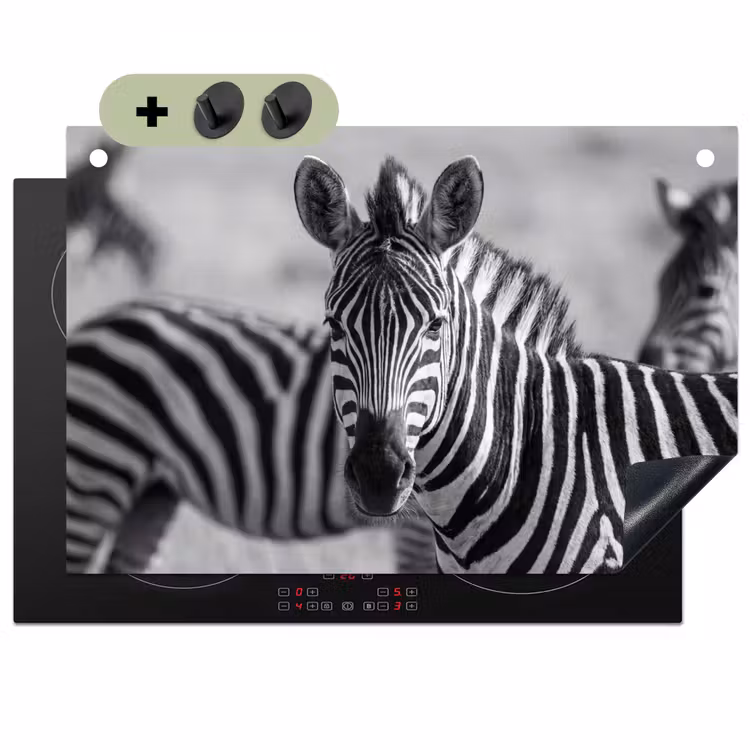 Zebra's - Zwart - Wit Inductie beschemer met haakjes klein -3d
