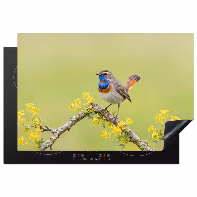 Vogel - Tak - Natuur - Kleurrijk Inductie beschermer vinyl 3mm klein -3d