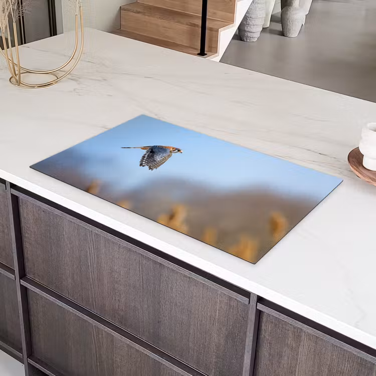 Kleurrijke valk aan het vliegen Inductie beschermer vinyl 3mm middel -sfeer8