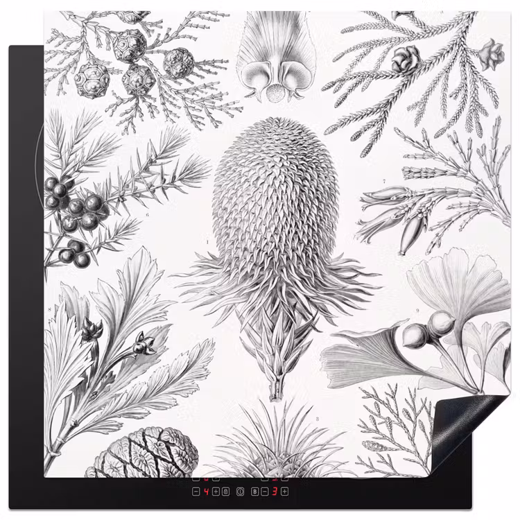Coniferen - Ernst Haeckel - Kunst - Retro - Illustratie - Natuur Inductie beschermer vinyl 3mm middel -3d