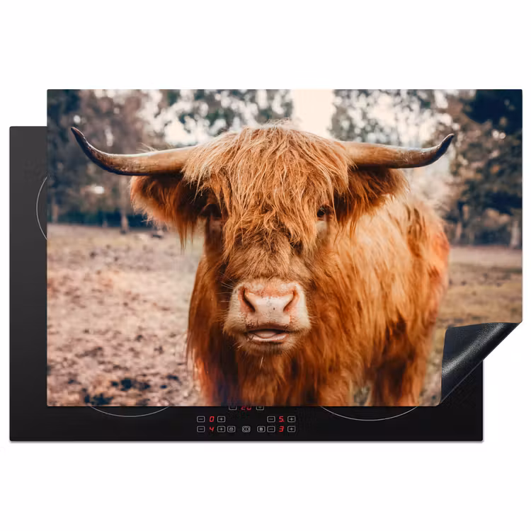 Koe- Schotse hooglander - Hoorns - Bruin - Landschap Inductie beschermer vinyl 3mm klein -3d
