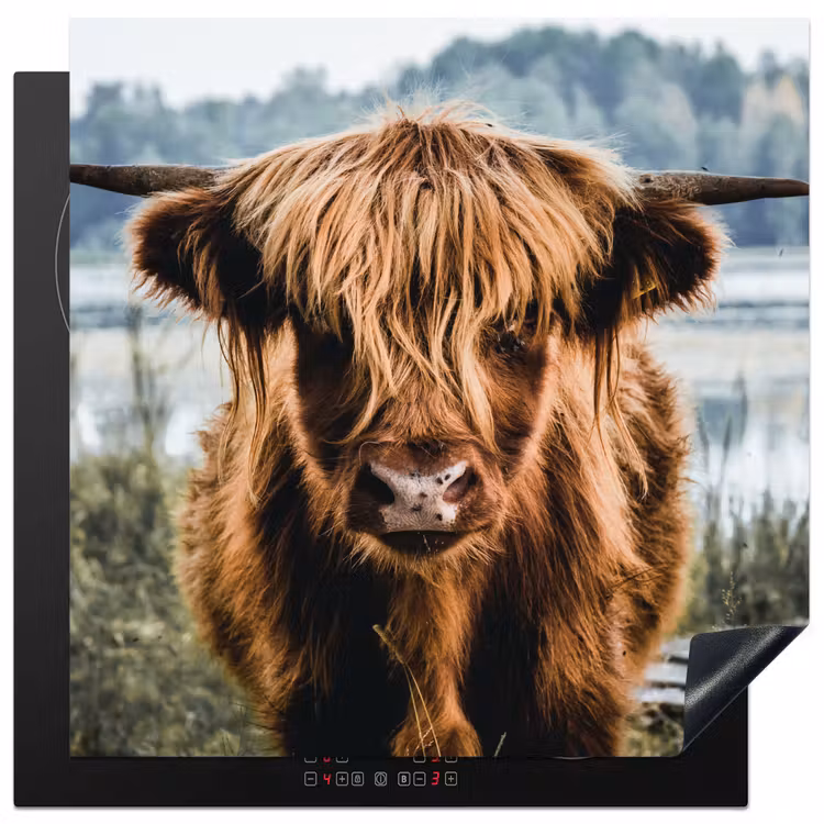 Koeien - Schotse hooglander - Bruin - Natuur Inductie beschermer vinyl 3mm middel -3d