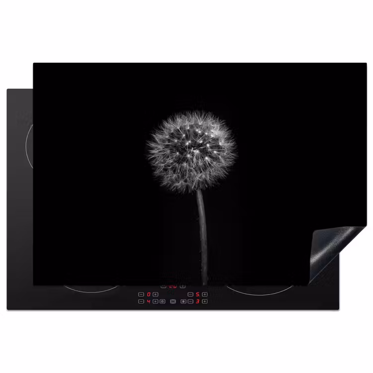 Paardenbloem - Zwart - Bloemen - Botanisch Inductie beschermer vinyl 3mm klein -3d