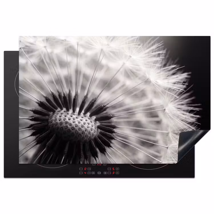 Paardenbloem - Zwart - Wit Inductie beschermer vinyl 3mm klein -3d