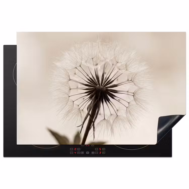 Paardenbloem - Minimalistisch - Wit Inductie beschermer vinyl 3mm klein -3d