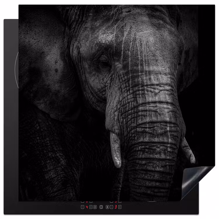 Olifant - Dier - Portret Inductie beschermer vinyl 3mm middel -3d