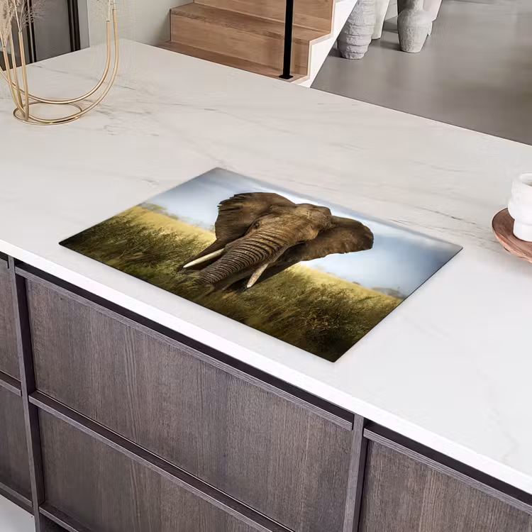 Olifant - Natuur - Gras - Dieren - Landschap Inductie beschermer vinyl 3mm klein -sfeer8