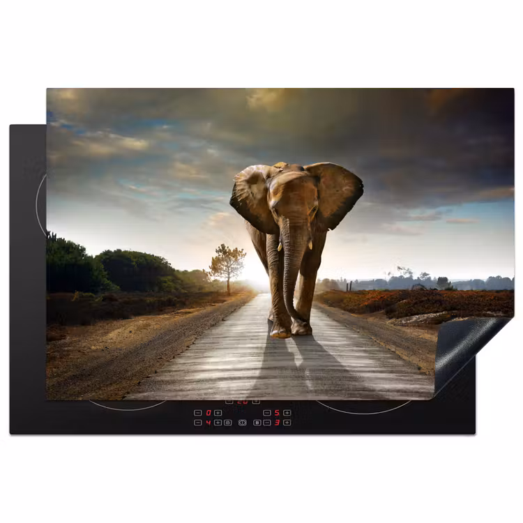 Olifant - Weg - Dieren - Zonsondergang - Landschap Inductie beschermer vinyl 3mm klein -3d