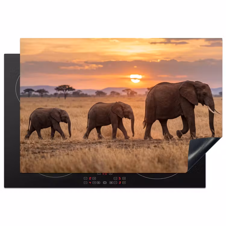 Olifanten - Savanne - Zonsondergang - Afrika - Warm Inductie beschermer vinyl 3mm klein -3d