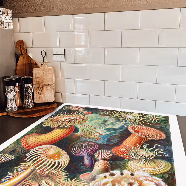 Ernst Haeckel - Anemoon - Retro - Natuur - Planten - Zee Inductie beschermer vinyl 3mm middel -sfeer3