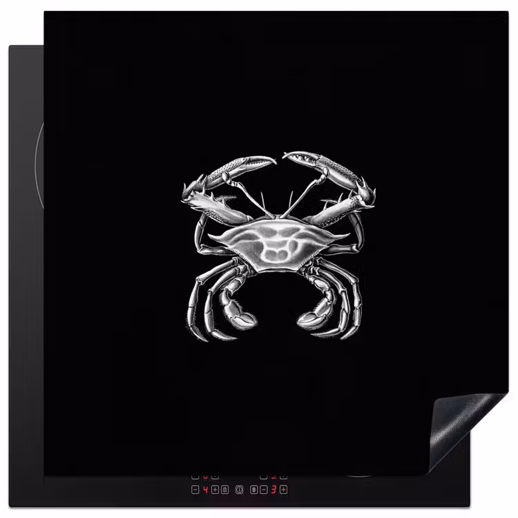 Ernst Haeckel - Krab - Oude meesters - Vintage - Dieren - Kunst Inductie beschermer vinyl 3mm middel -3d