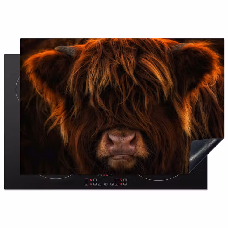 Vurige Manen Inductie beschermer vinyl 3mm klein -3d