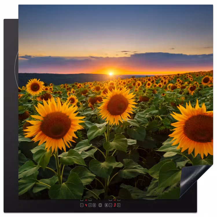 Bloemen - Nacht - Zonsondergang - Zonnebloem - Horizon Inductie beschermer vinyl 3mm middel -3d