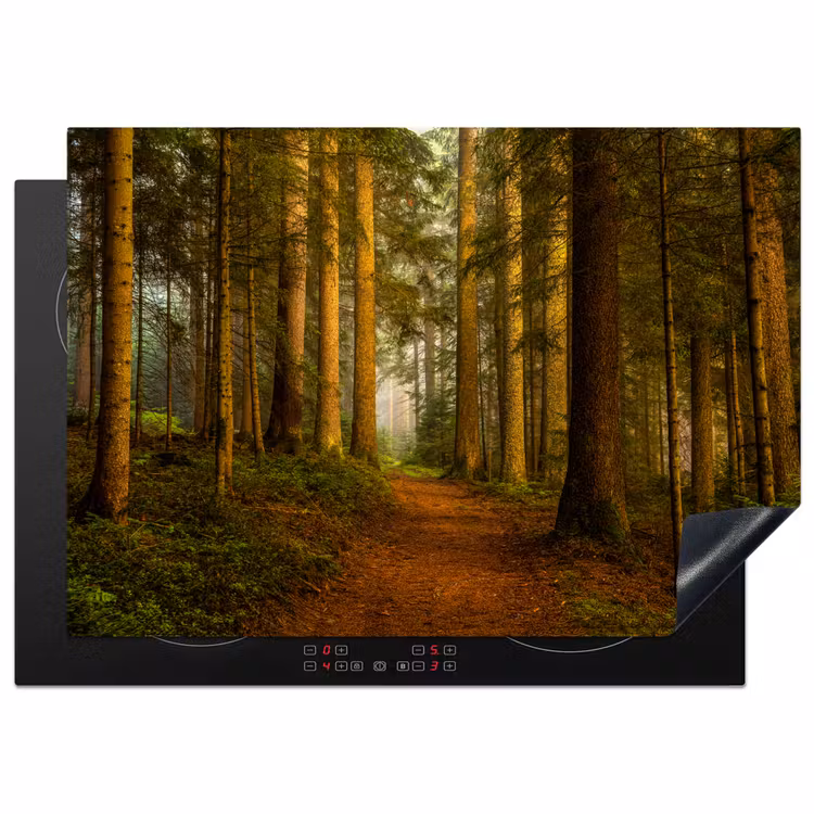 Bos - Natuur - Bomen - Landschap - Bladeren Inductie beschermer vinyl 3mm middel -3d