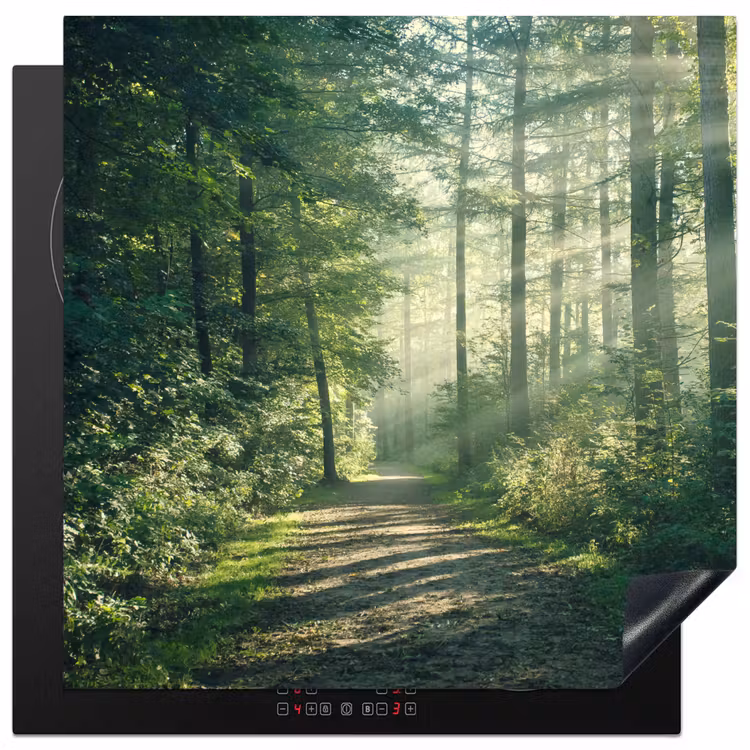Bos - Pad - Zon - Bomen - Groen - Natuur Inductie beschermer vinyl 3mm middel -3d