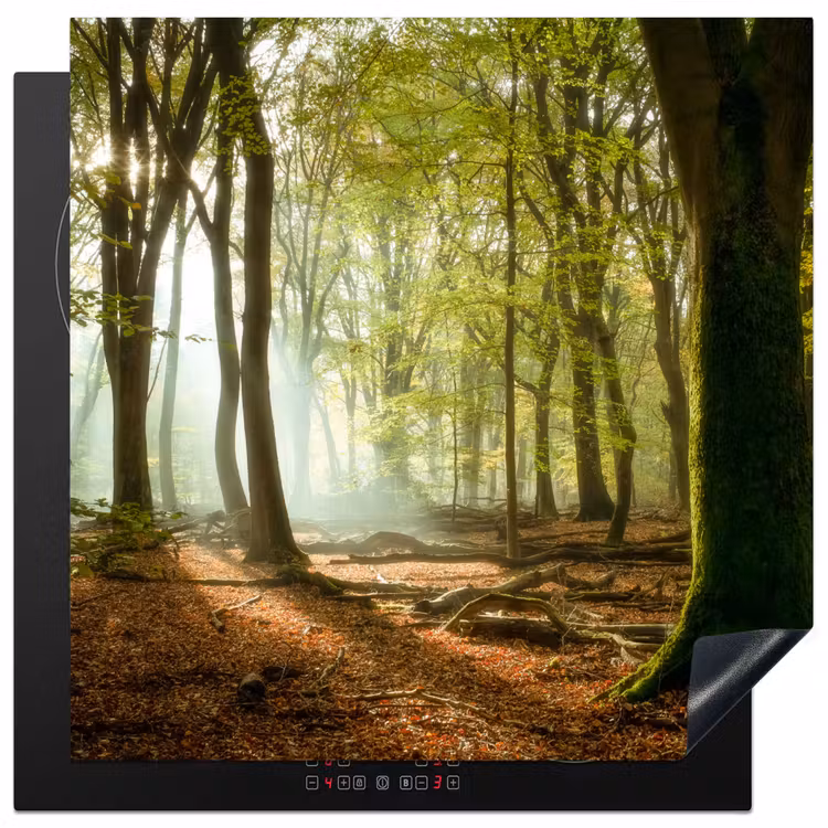 Bos - Zon - Seizoenen - Landschap Inductie beschermer vinyl 3mm middel -3d