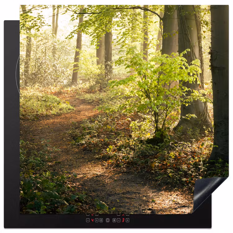 Bos - Bomen - Pad - Zon - Planten - Bladeren - Natuur Inductie beschermer vinyl 3mm middel -3d