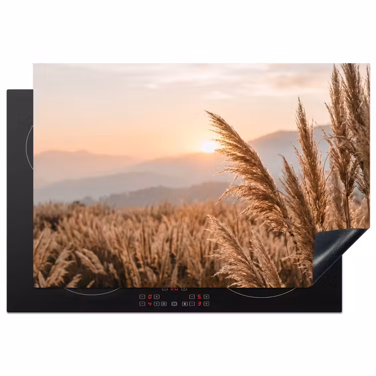 Gras - Veld - Zon - Natuur Inductie beschermer vinyl 3mm klein -3d