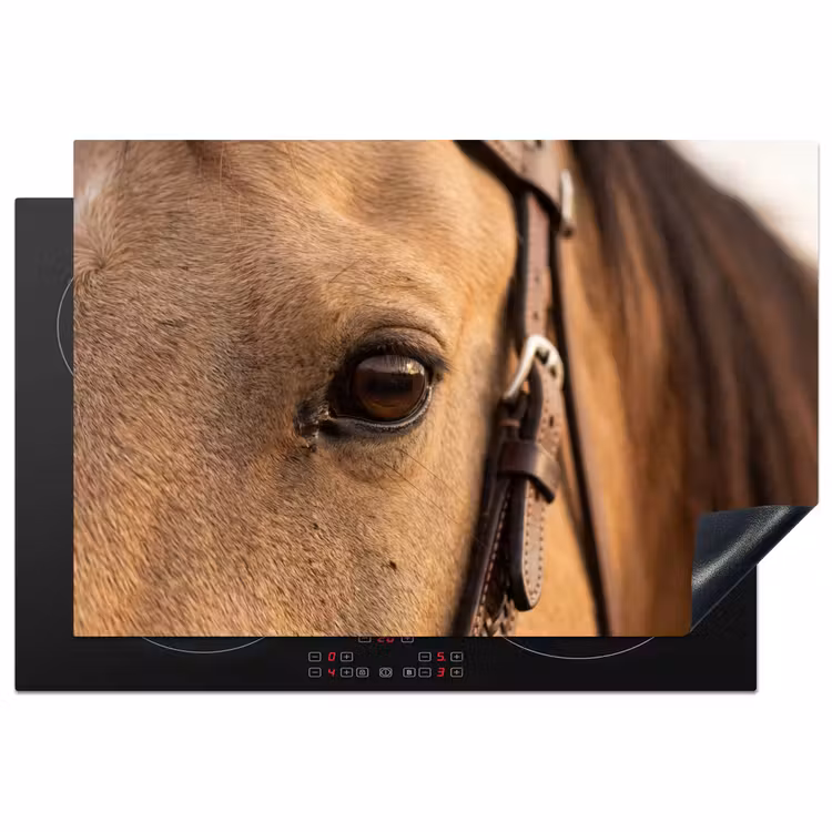 Paard - Oog - Bruin Inductie beschermer vinyl 3mm klein -3d