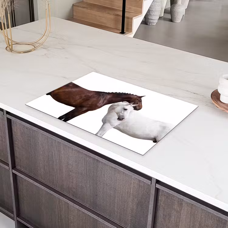 Paard - Modern - Balans Inductie beschermer vinyl 3mm klein -sfeer8