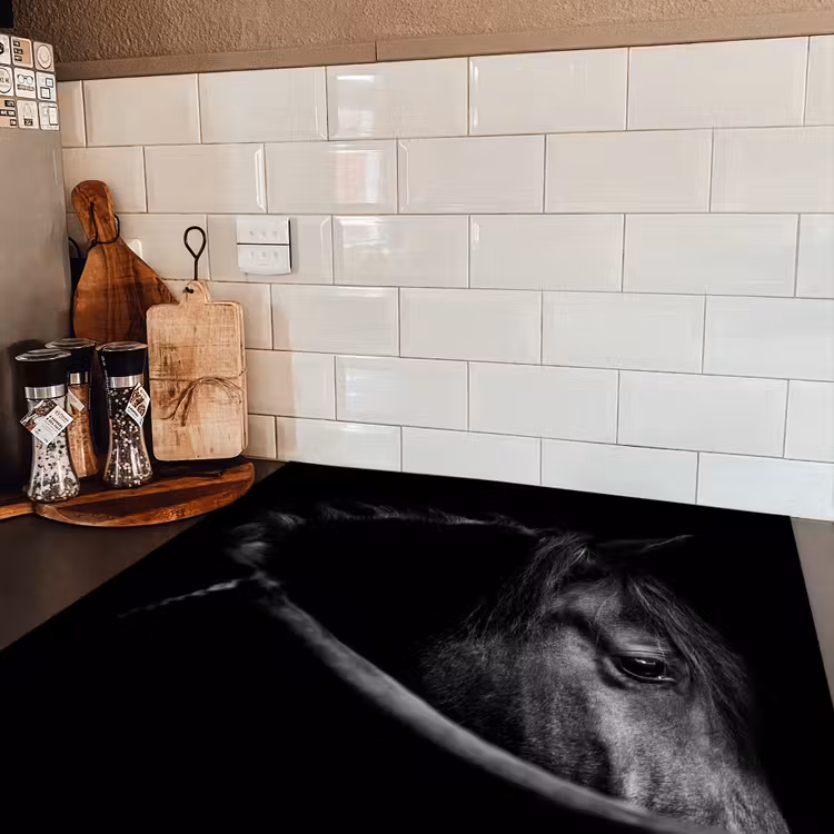 Paarden - Portret - Zwart - Dieren Inductie beschermer vinyl 3mm middel -sfeer3