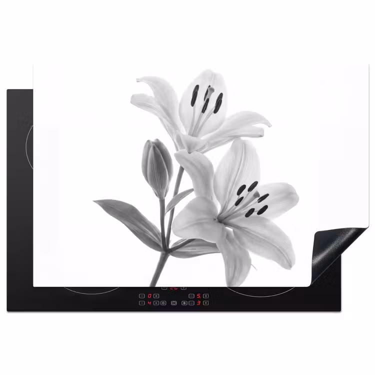 Lelies - Elegant - Zwart - Wit Inductie beschermer vinyl 3mm klein -3d